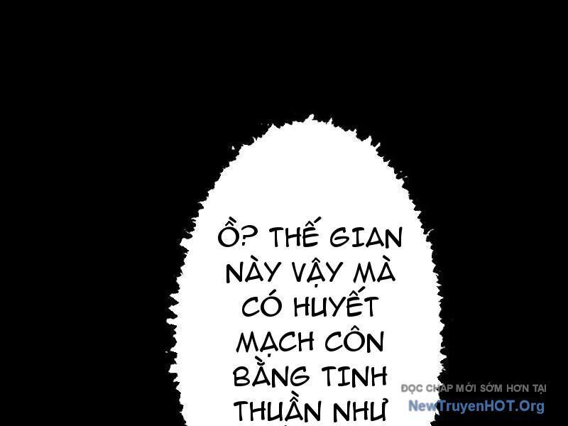 Gặp Mạnh Thì Càng Mạnh, Tu Vi Của Ta Không Giới Hạn Chapter 71 - Trang 2