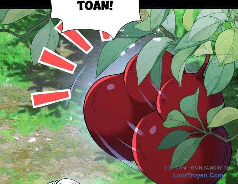 Gặp Mạnh Thì Càng Mạnh, Tu Vi Của Ta Không Giới Hạn Chapter 79 - Trang 2