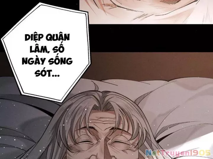 Gặp Mạnh Thì Càng Mạnh, Tu Vi Của Ta Không Giới Hạn Chapter 80 - Trang 2