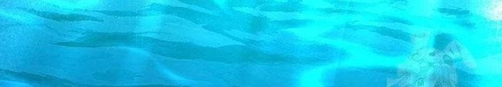Đêm Của Yêu Tinh Chapter 89 - Trang 2