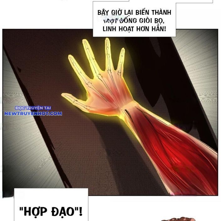 Chiến Loạn Thời Không Chapter 29 - Trang 2