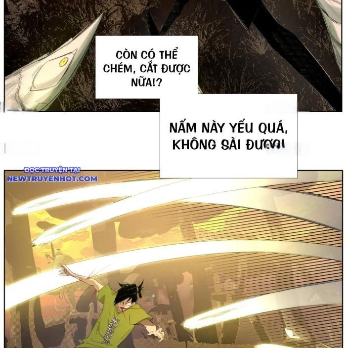 Chiến Loạn Thời Không Chapter 29 - Trang 2