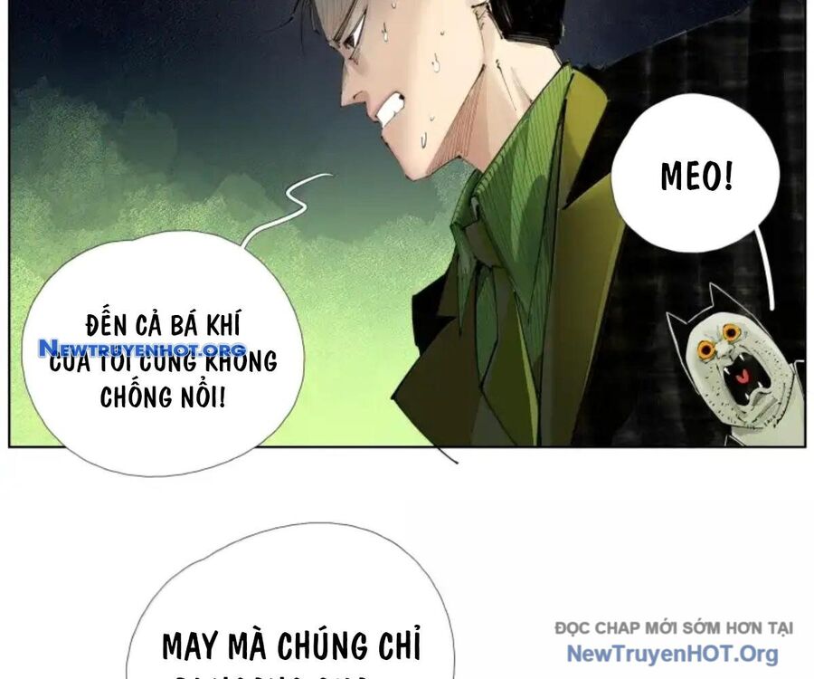 Chiến Loạn Thời Không Chapter 58 - Trang 2