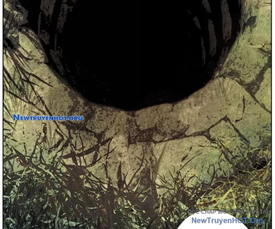 Chiến Loạn Thời Không Chapter 58 - Trang 2