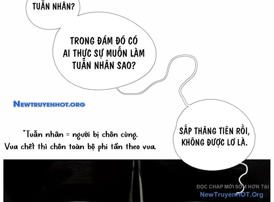 Chiến Loạn Thời Không Chapter 59 - Trang 2