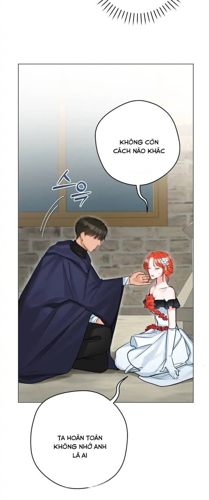 Cuộc Hôn Nhân Xa Hoa Của Đại Công Tước Là Giả Chapter 33.6 - Trang 2
