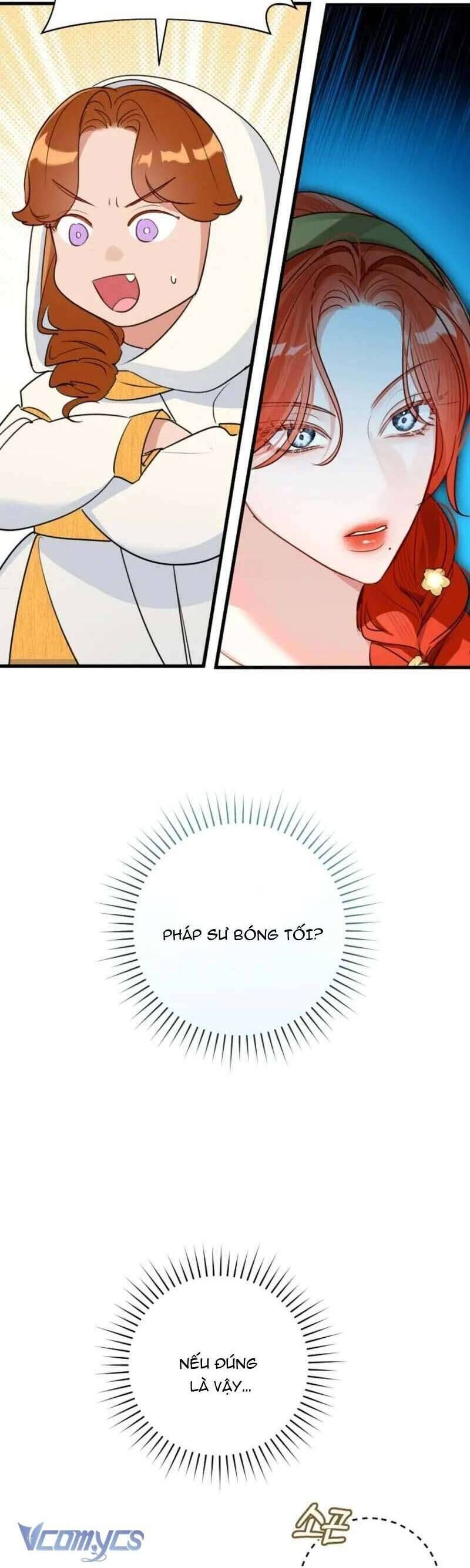 Cuộc Hôn Nhân Xa Hoa Của Đại Công Tước Là Giả Chapter 84 - Trang 2