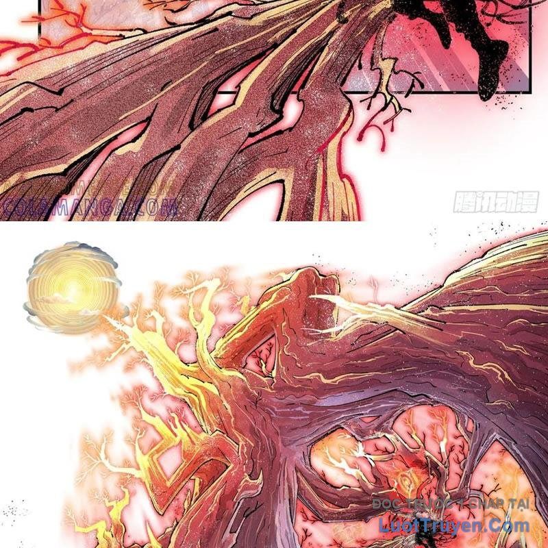 Nhật Nguyệt Đồng Thác Chapter 288 - Trang 2