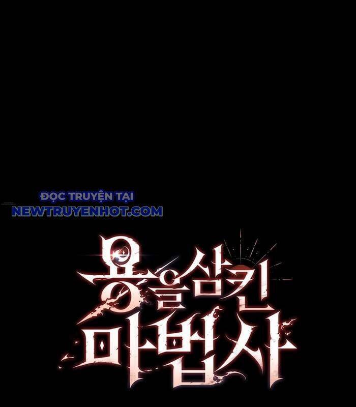 Thực Long Ma Pháp Sư Chapter 89 - Trang 2