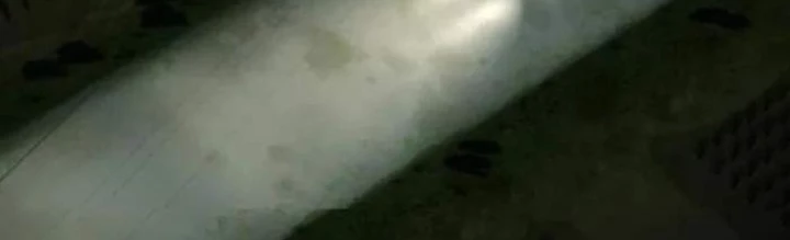 Thiên Tài Nhìn Thấu Thế Giới Chapter 26 - Trang 2