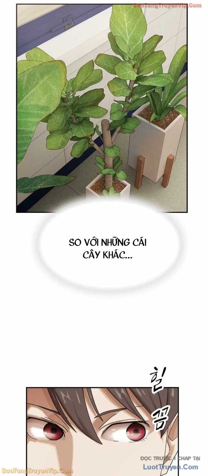 Thiên Tài Nhìn Thấu Thế Giới Chapter 37 - Trang 2