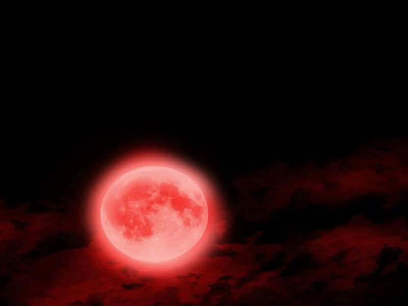 Trò Chơi Quỷ Dị: Ta Dựa Vào Vô Số Công Đức Khắc Thông Quan Chapter 157 - Trang 2