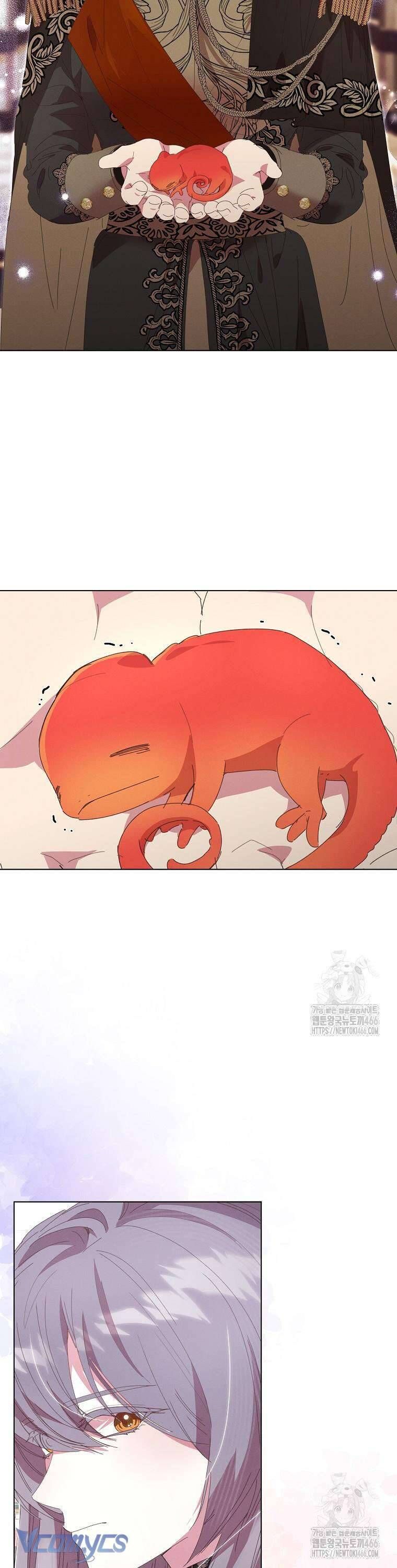 Công Nương Tái Sinh Chapter 23 - Trang 2