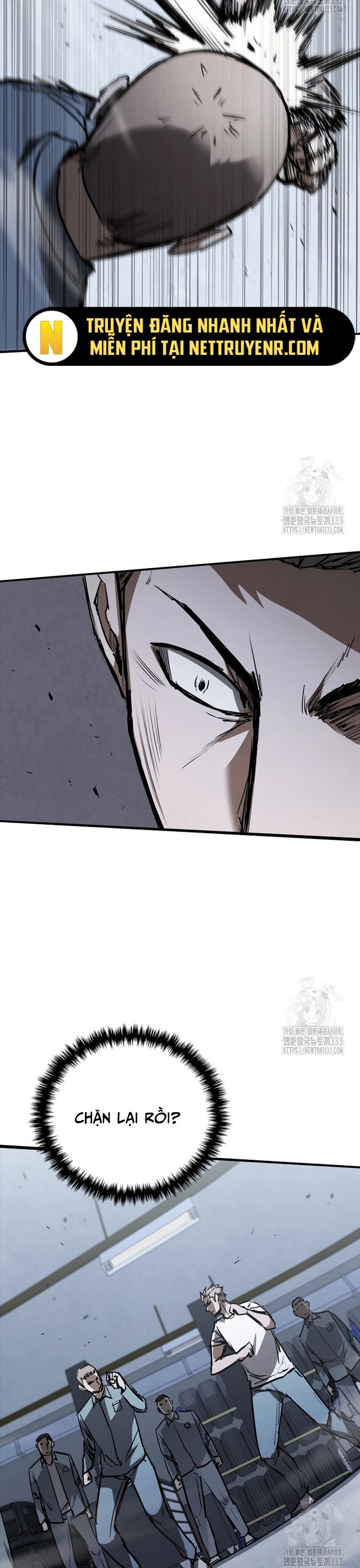 Cá Mập Wyvern Chapter 50 - Trang 2