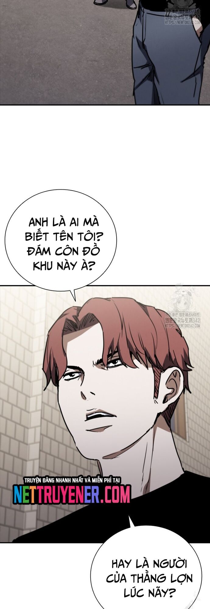 Cá Mập Wyvern Chapter 64 - Trang 2