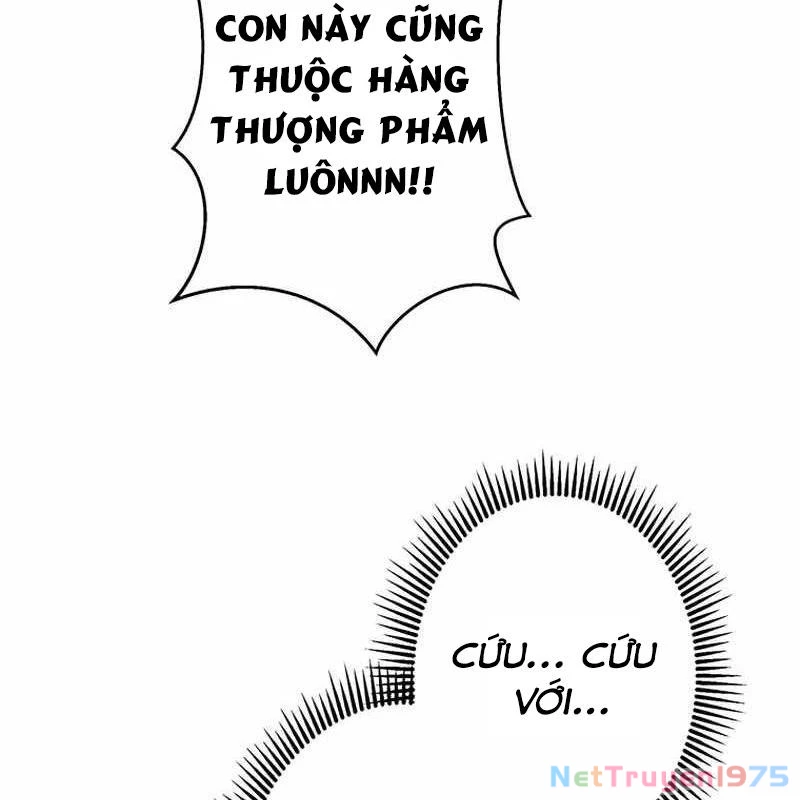 Ah, Thật Tuyệt Khi Còn Sống Chapter 48 - Trang 2