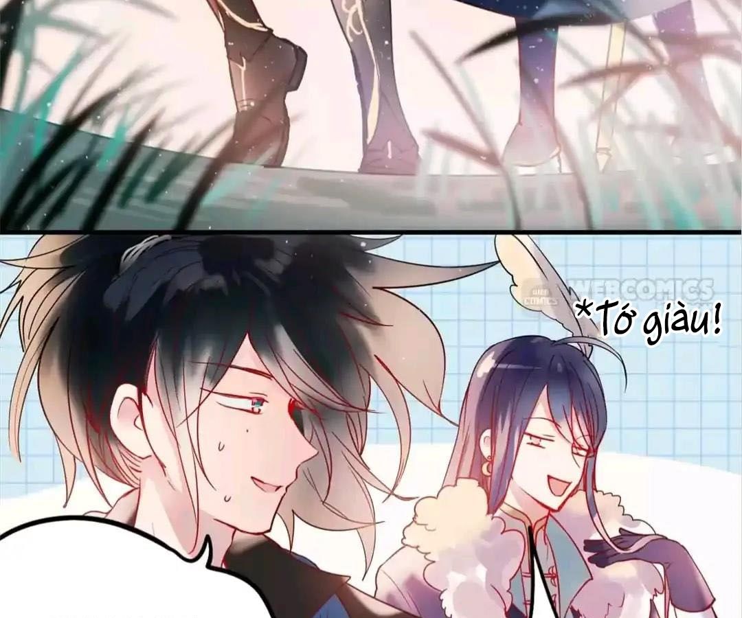 Thành Bại Vì Tiêu Hà Chapter 1 - Trang 2