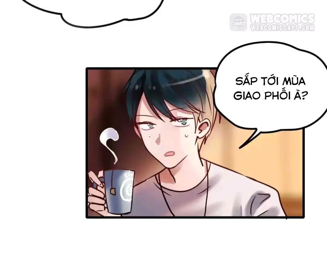 Thành Bại Vì Tiêu Hà Chapter 2 - Trang 2