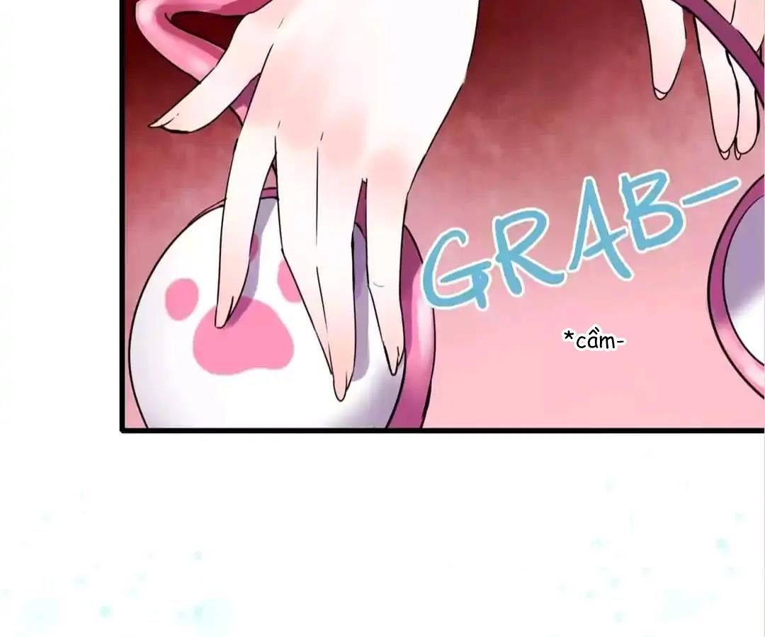 Thành Bại Vì Tiêu Hà Chapter 2 - Trang 2