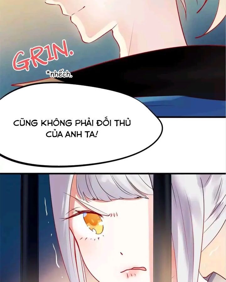 Thành Bại Vì Tiêu Hà Chapter 3 - Trang 2