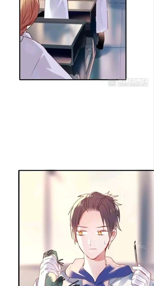 Thành Bại Vì Tiêu Hà Chapter 6 - Trang 2