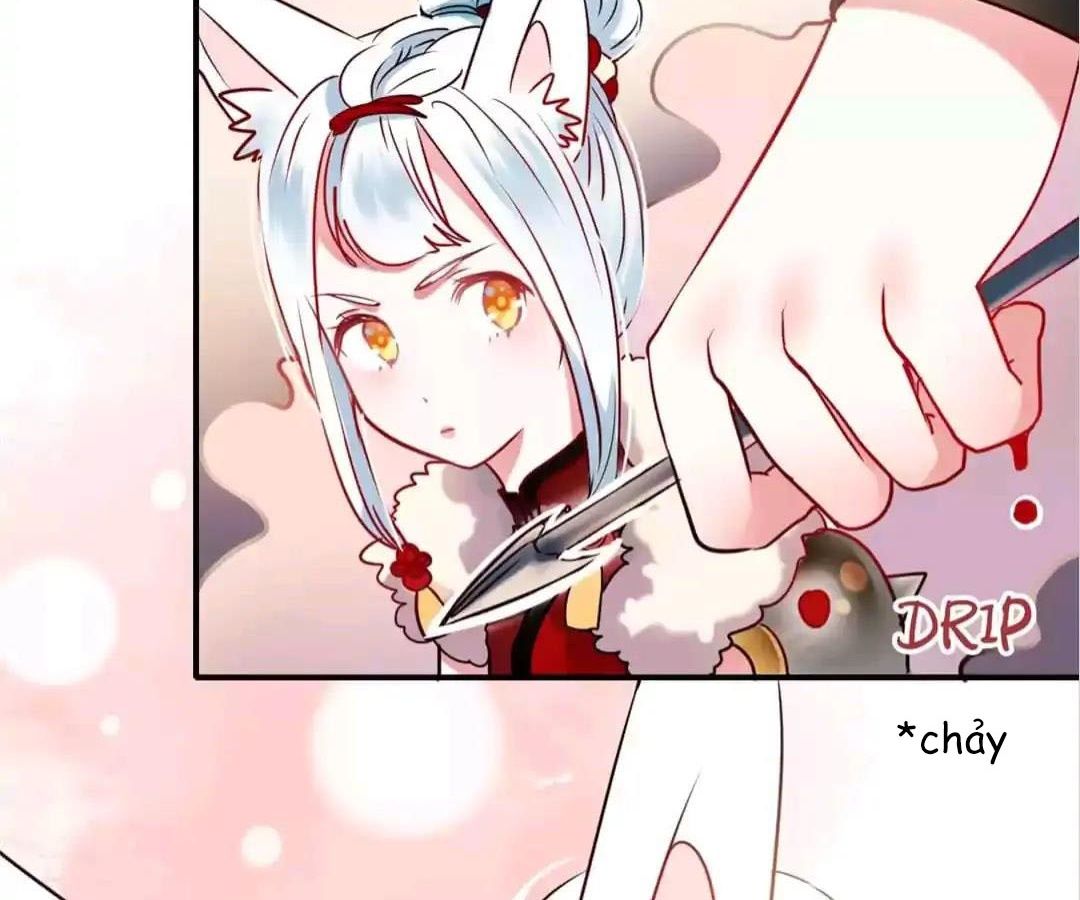 Thành Bại Vì Tiêu Hà Chapter 10 - Trang 2