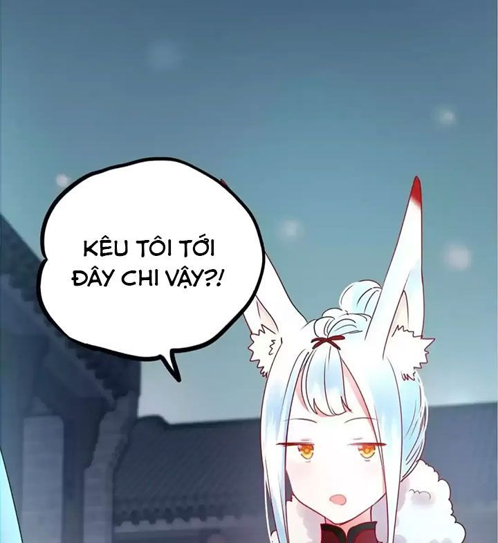 Thành Bại Vì Tiêu Hà Chapter 12 - Trang 2