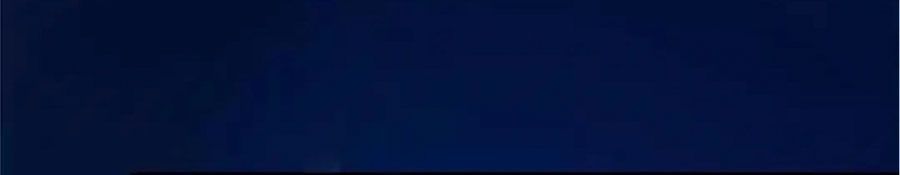 Thành Bại Vì Tiêu Hà Chapter 15 - Trang 2