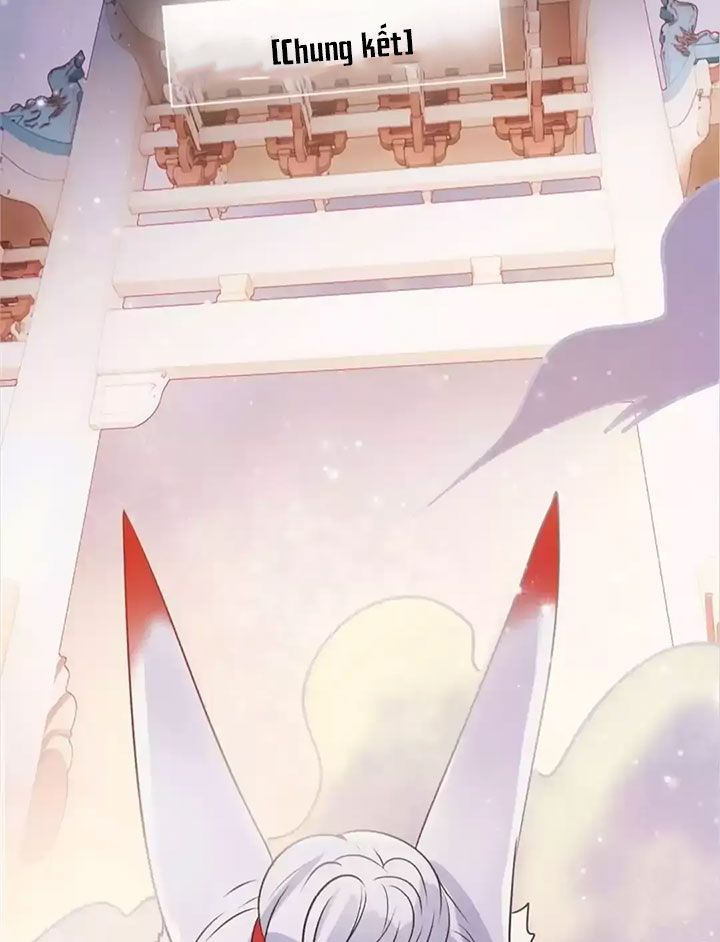 Thành Bại Vì Tiêu Hà Chapter 18 - Trang 2