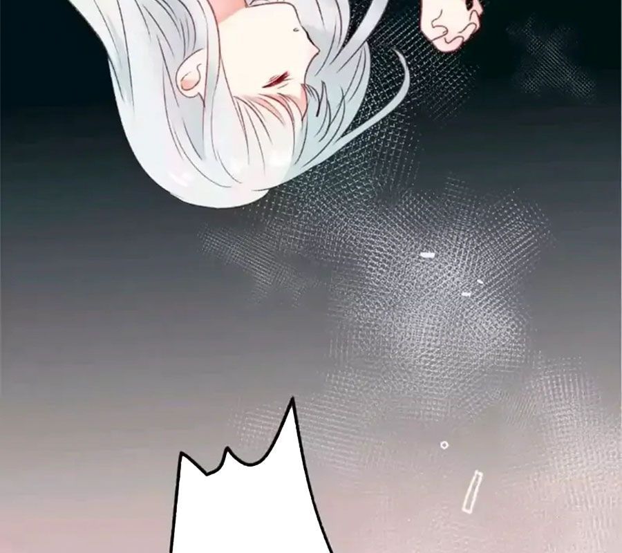 Thành Bại Vì Tiêu Hà Chapter 21 - Trang 2