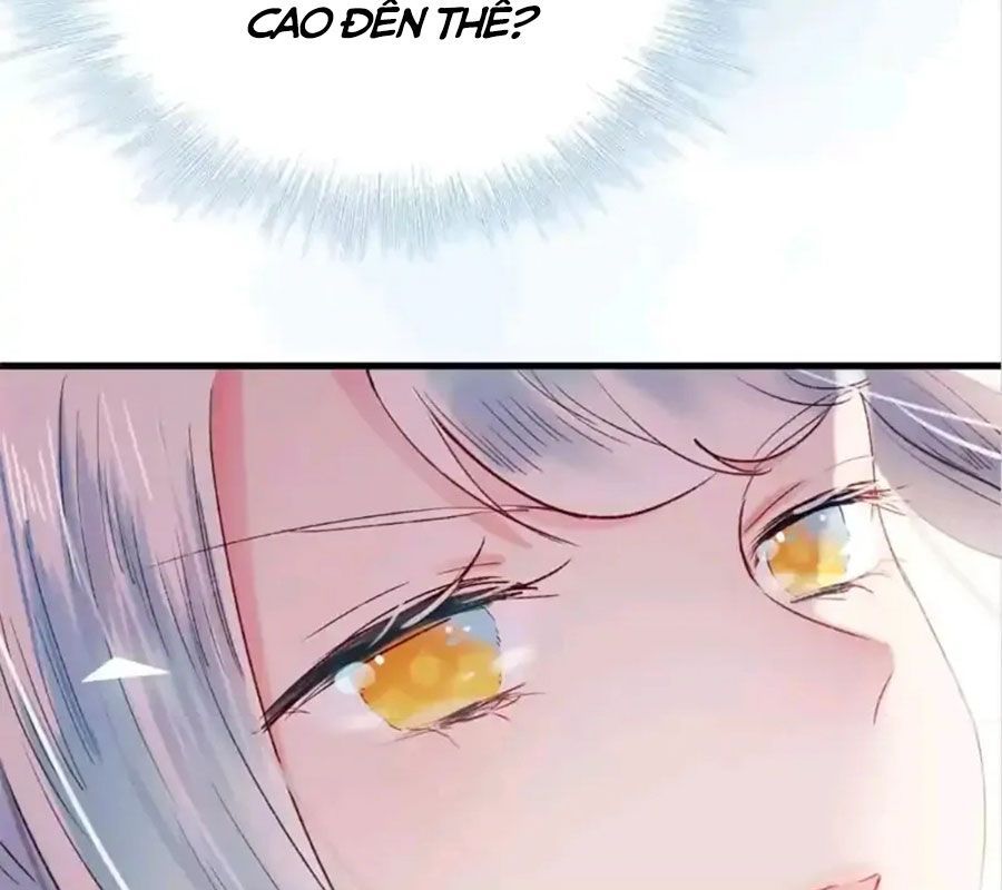 Thành Bại Vì Tiêu Hà Chapter 22 - Trang 2