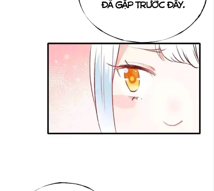 Thành Bại Vì Tiêu Hà Chapter 22 - Trang 2