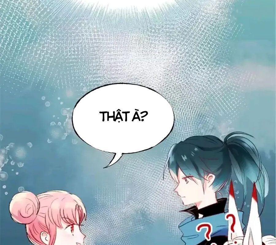 Thành Bại Vì Tiêu Hà Chapter 22 - Trang 2