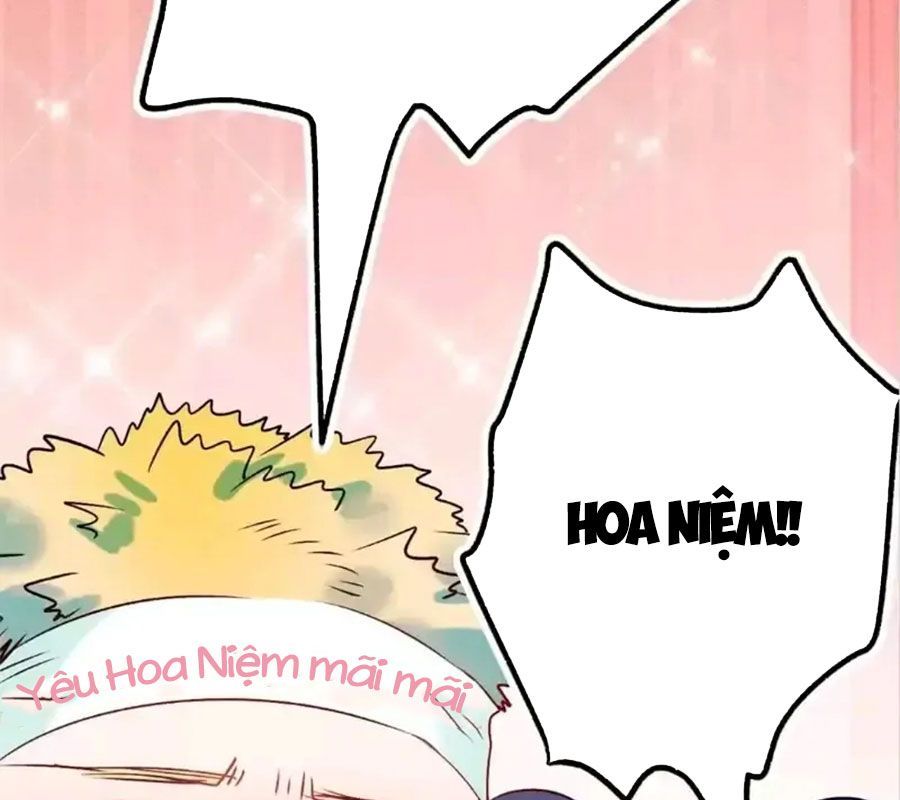 Thành Bại Vì Tiêu Hà Chapter 22 - Trang 2