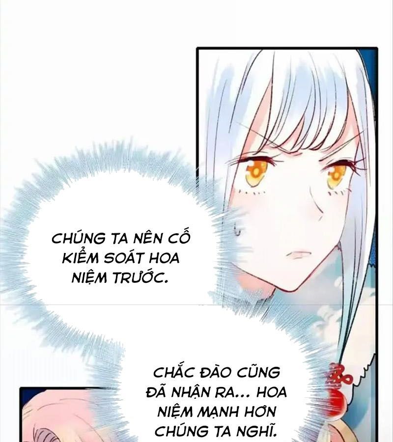 Thành Bại Vì Tiêu Hà Chapter 23 - Trang 2