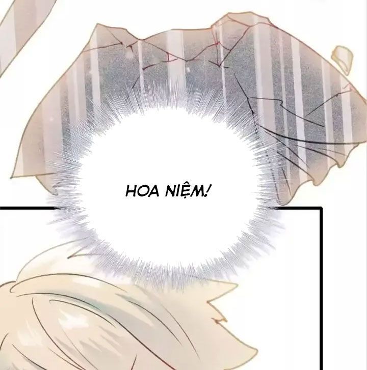 Thành Bại Vì Tiêu Hà Chapter 24 - Trang 2