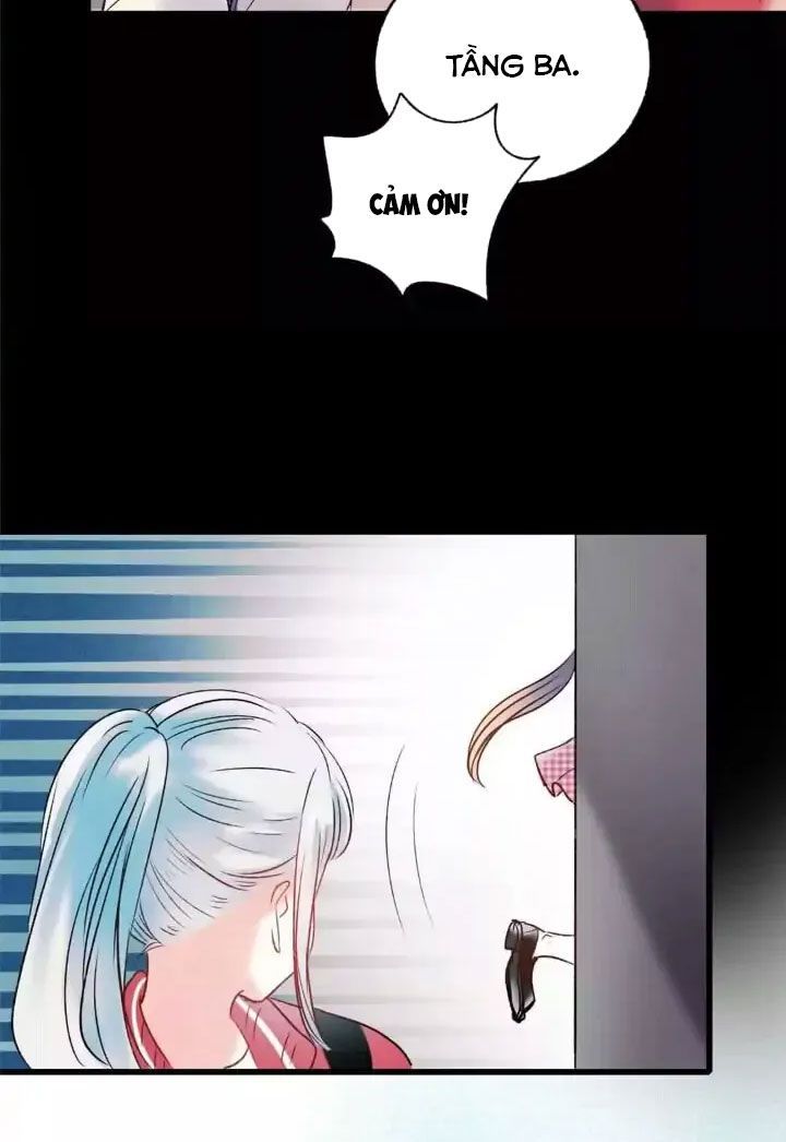 Thành Bại Vì Tiêu Hà Chapter 27 - Trang 2