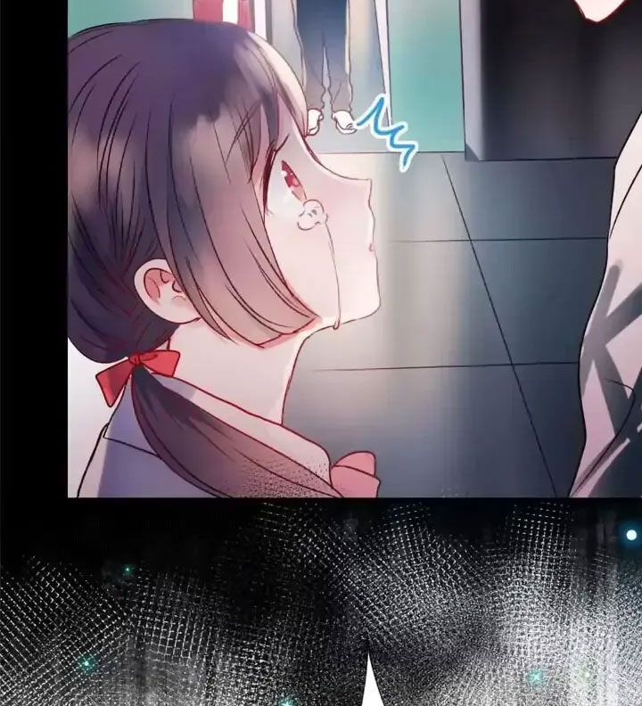 Thành Bại Vì Tiêu Hà Chapter 27 - Trang 2