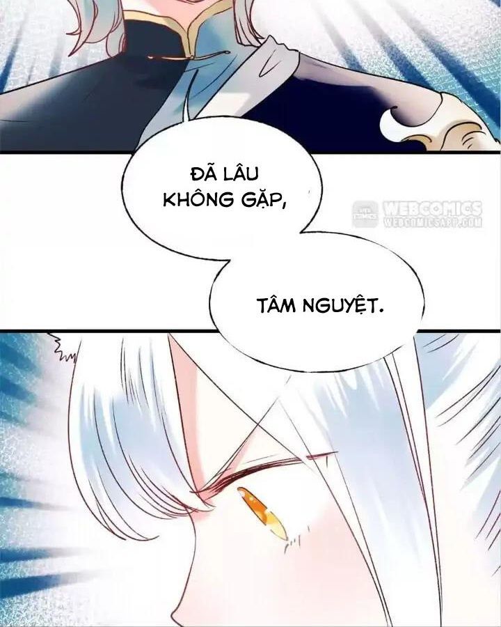 Thành Bại Vì Tiêu Hà Chapter 28 - Trang 2