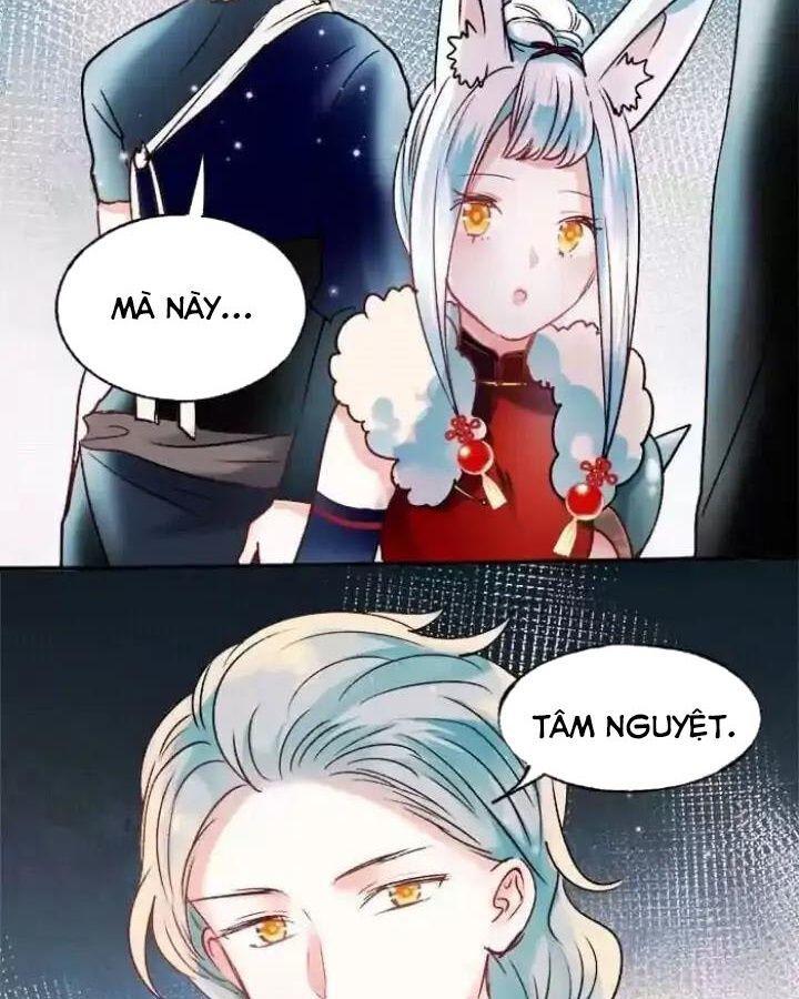 Thành Bại Vì Tiêu Hà Chapter 28 - Trang 2