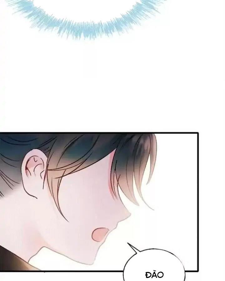 Thành Bại Vì Tiêu Hà Chapter 28 - Trang 2