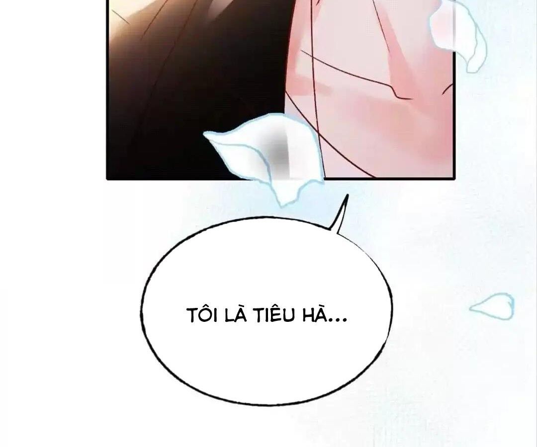 Thành Bại Vì Tiêu Hà Chapter 32 - Trang 2