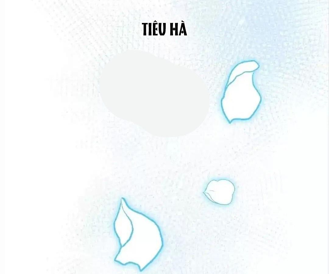 Thành Bại Vì Tiêu Hà Chapter 33 - Trang 2