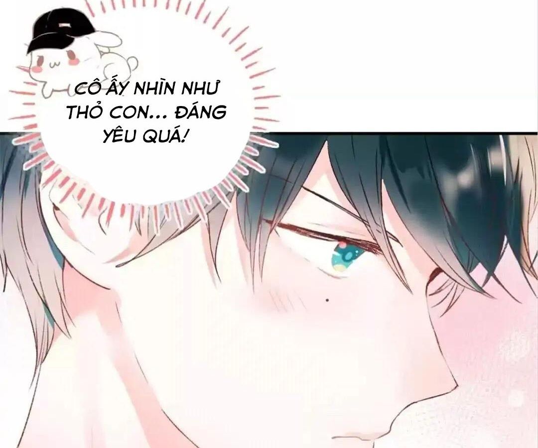 Thành Bại Vì Tiêu Hà Chapter 33 - Trang 2