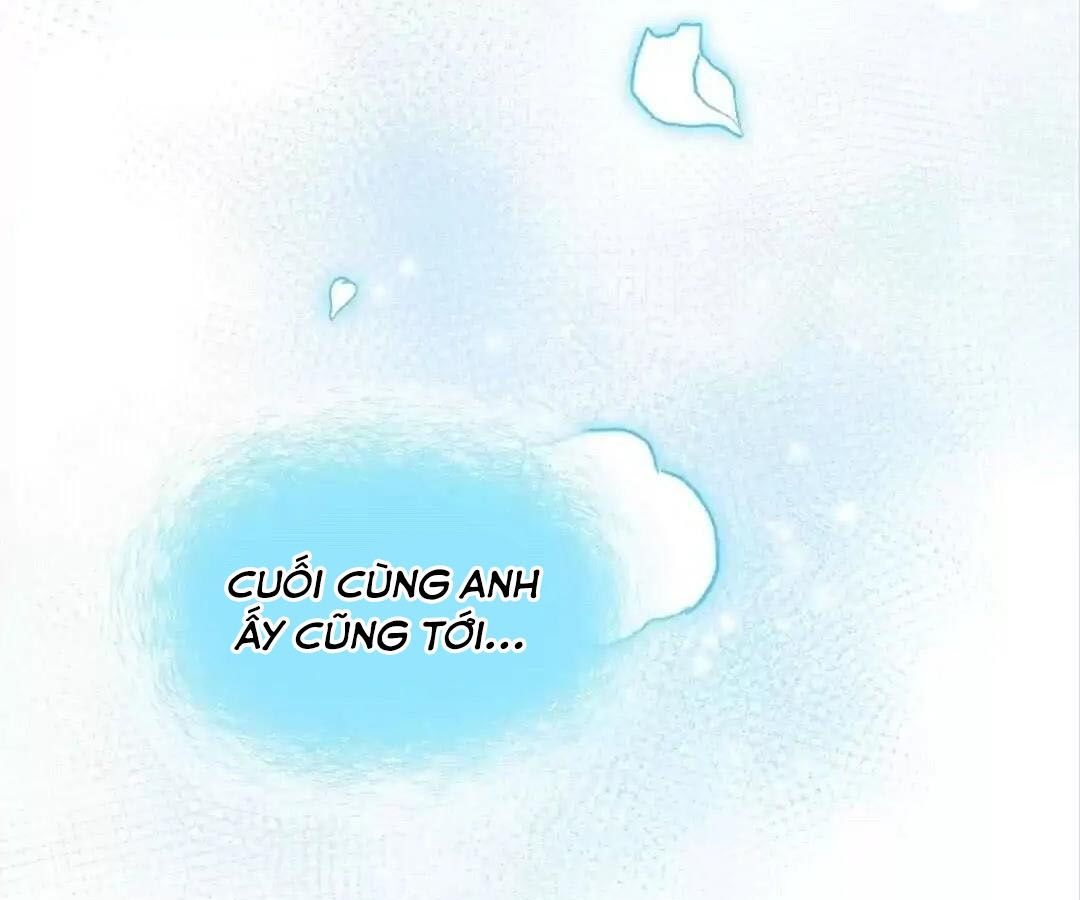 Thành Bại Vì Tiêu Hà Chapter 33 - Trang 2