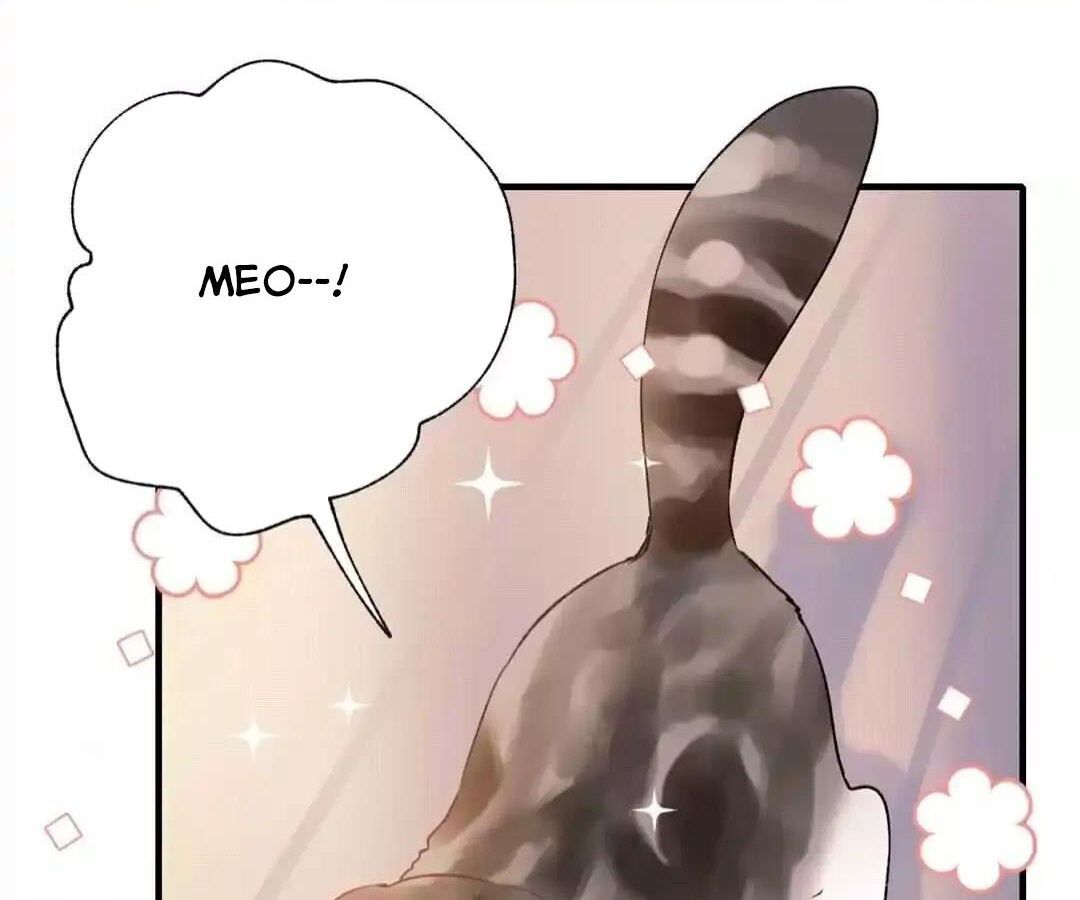 Thành Bại Vì Tiêu Hà Chapter 34 - Trang 2