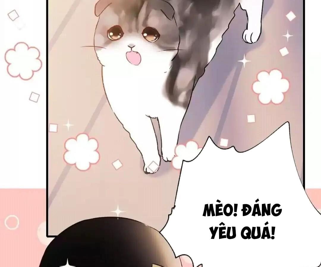 Thành Bại Vì Tiêu Hà Chapter 34 - Trang 2