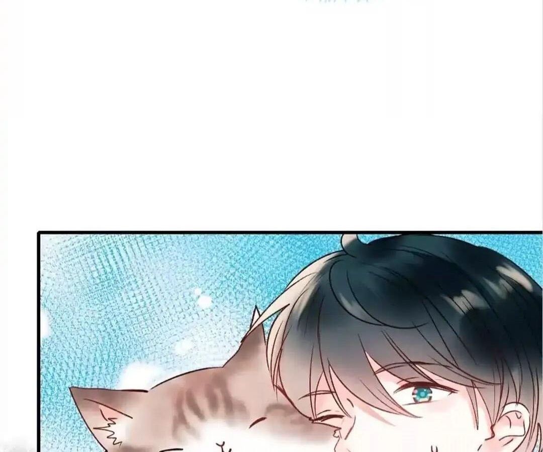 Thành Bại Vì Tiêu Hà Chapter 34 - Trang 2