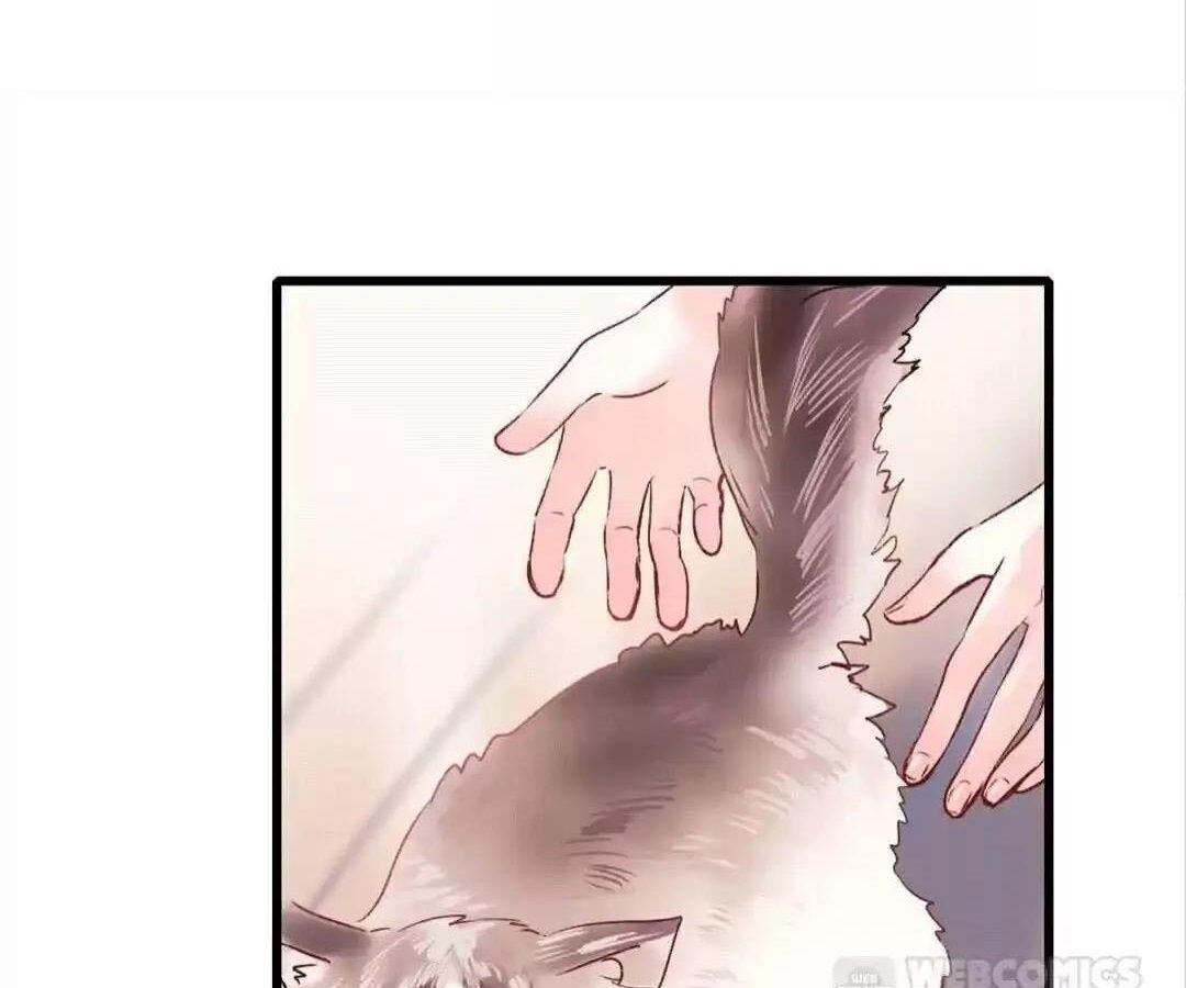 Thành Bại Vì Tiêu Hà Chapter 34 - Trang 2