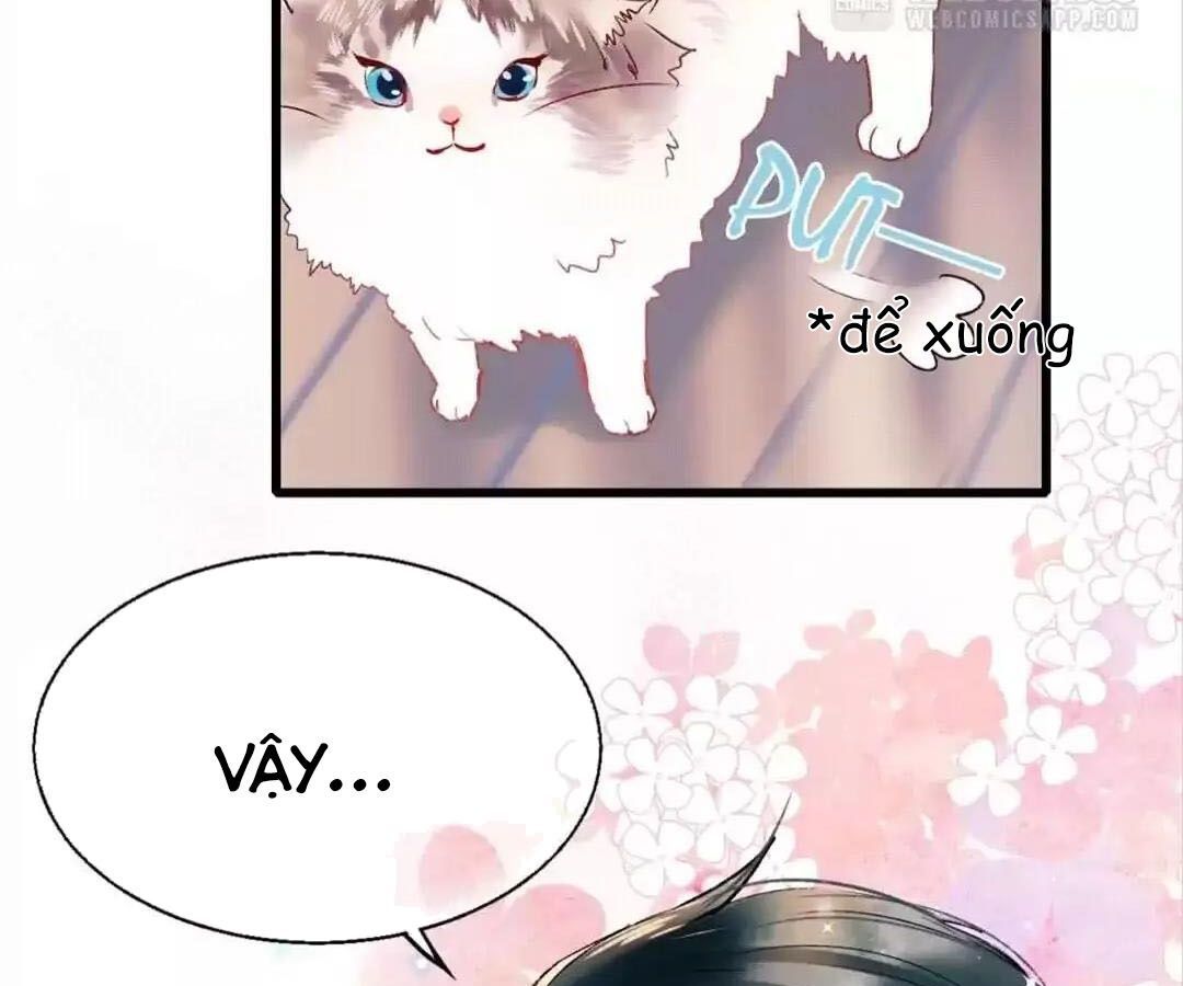 Thành Bại Vì Tiêu Hà Chapter 34 - Trang 2